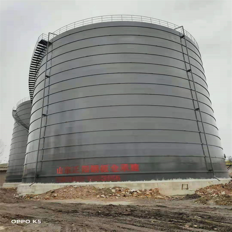 琼结3万吨大型钢板库